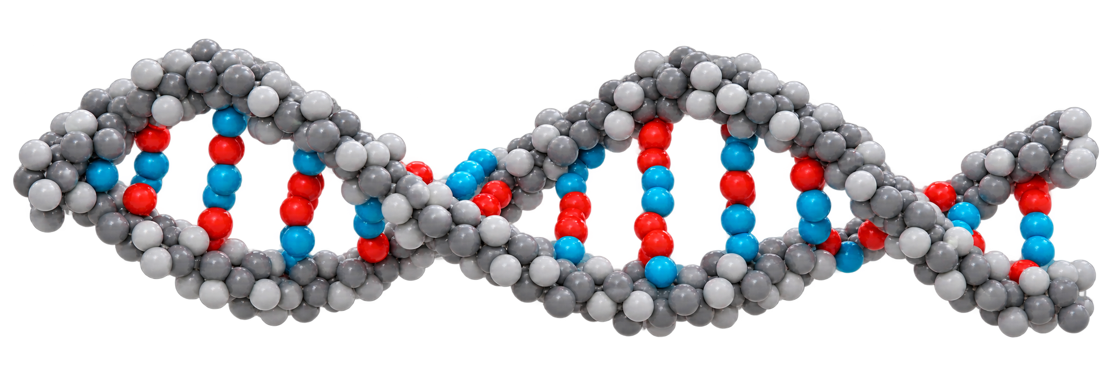 Decorative molecular DNA model