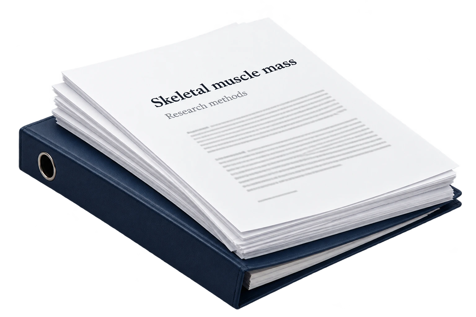 Illustrative research papers